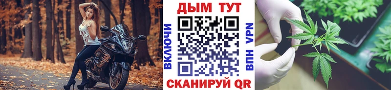 Марихуана семена  Кызыл 